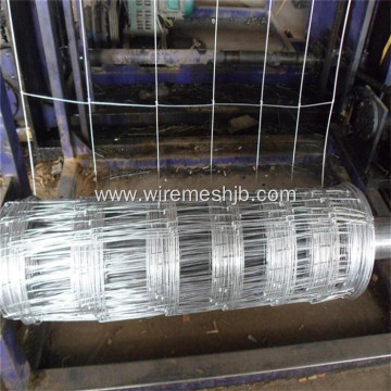 1.6M*50M Galvanized Steel Wire Kraal Network